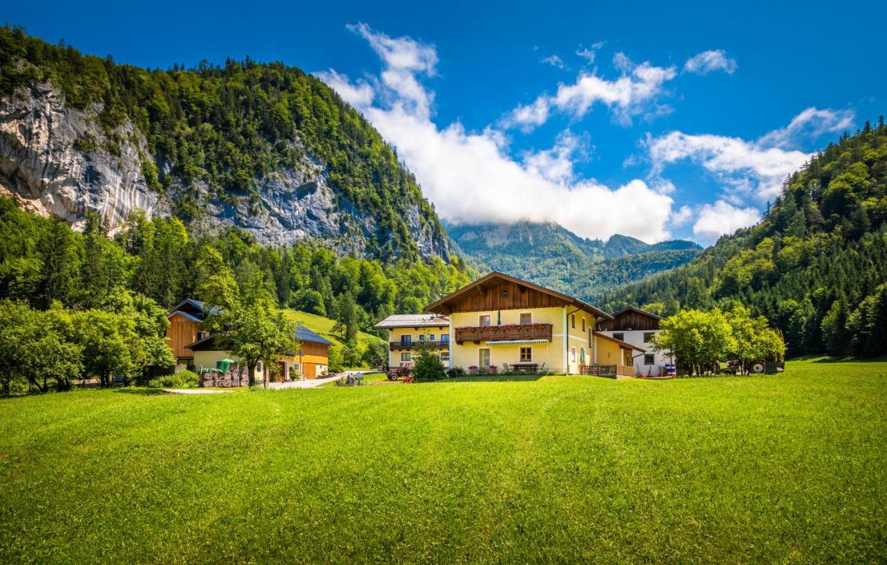 Hinterkellaubauer Bed & Breakfast Kuchl Exterior photo